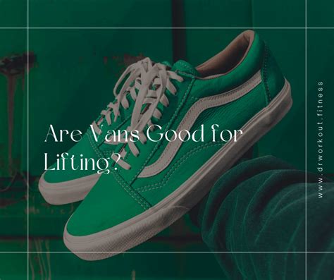 are vans good